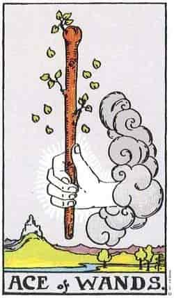 완드 에이스 (Ace of Wands) 타로 카드
