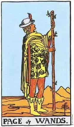 완드 시종 (Page of Wands) 타로 카드