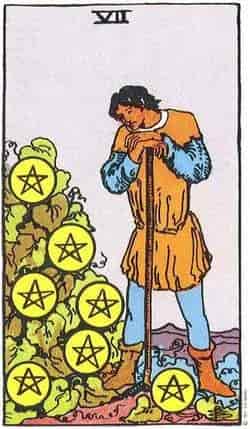 펜타클 7 (Seven of Pentacles) 타로 카드